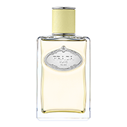 Prada Infusion de Gingembre Eau de Parfum