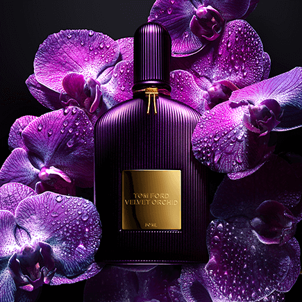 Signature Velvet Orchid Eau de Parfum Spray