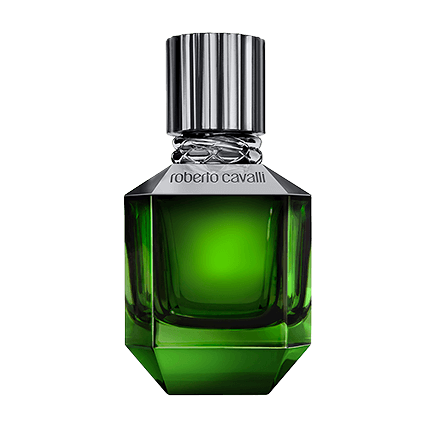 Roberto Cavalli Paradise Found for Men Eau de Parfum