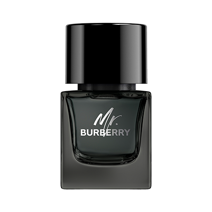 Burberry MR. BURBERRY Eau de Parfum