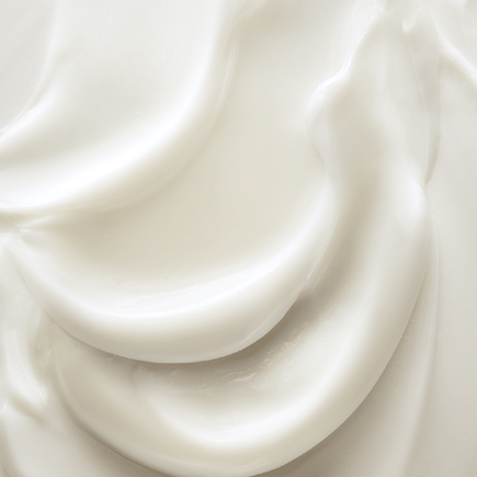 SENSAI TOTAL FORM EXPERT CREAM (Refill)