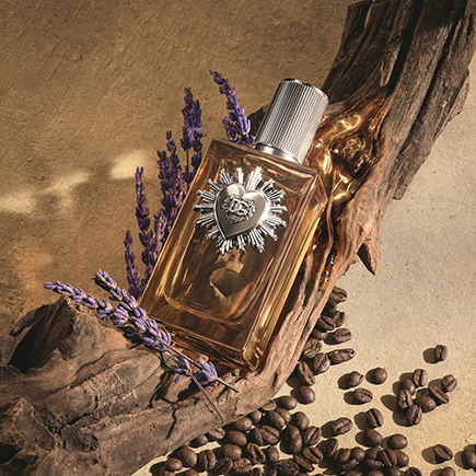 Dolce & Gabbana Devotion Male Parfum